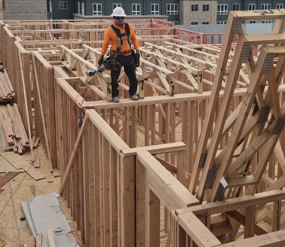 Wood Framers worker in hard hat and safety harness installing wall framing on a multifamily project